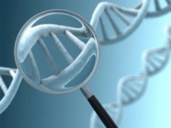 В США объявлен конкурс на секвенирование 100 геномов долгожителей
