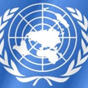ООН объявила экономическую войну фастфуду