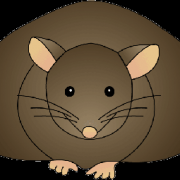 Трансплантация бурого жира способствовала снижению веса у мышей