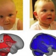 Материнское молоко оказалось стимулятором развития головного мозга