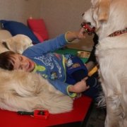 Для реабилитации детей-инвалидов будут использовать собак