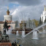 Москва заплатит 150 миллионов за уничтожение крыс