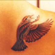 Выполнение татуировки требует чистоплотности