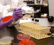 Ученые создали в лаборатории смертельный вирус