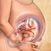 Что отражается на зачатии и вынашивании беременности
