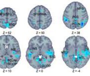 Способности мозга зависят от степени изменчивости нейронной активности