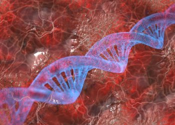 Мутации в ДНК оказались связаны с продолжительностью жизни