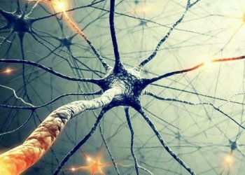 Исследователи создали чернила, управляющие ростом нейронов