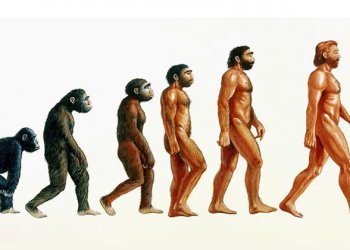 Ученые заявили о новой стадии эволюции человека