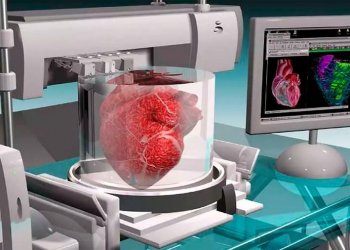 Новая технология 3D-печати оптимизирует методики трансплантологии