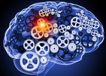 Новый лекарственный препарат может замедлить снижение когнитивных функций при болезни  Альцгеймера