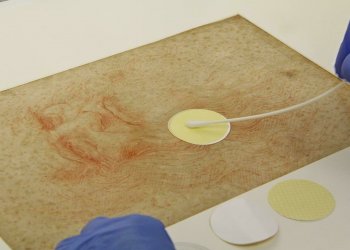 Микробиом рисунков Леонардо да Винчи