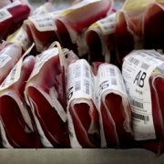 Три десятка израильтян подарили свою кровь на день рождения подруги