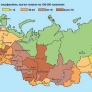 В России резко возросла активность клещей