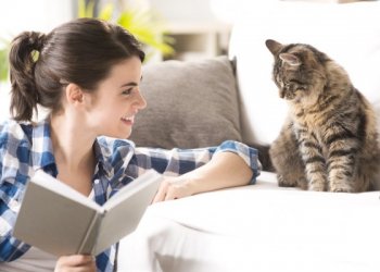 Кошки помогут в лечении хронической болезни почек человека?
